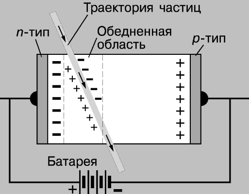 Рис. 3. ПОЛУПРОВОДНИКОВЫЙ ДЕТЕКТОР представляет собой твердотельный электронный прибор. Обратное напряжение, приложенное к p - n-переходу, удаляет свободные носители, создавая обедненную область. При прохождении через эту область ионизующей частицы возникают свободные носители заряда, которые диффундируют в противоположных направлениях, создавая электрический ток.