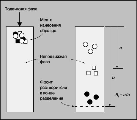 Рис. 12. ТОНКОСЛОЙНАЯ ХРОМАТОГРАФИЯ. 1 - подвижная фаза; 2 - место нанесения образца; 3 - неподвижная фаза; 4 - фронт растворителя в конце разделения.