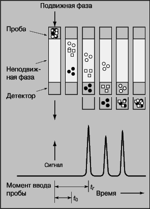 Рис. 13. КОЛОНОЧНАЯ ХРОМАТОГРАФИЯ. 1 - подвижная фаза; 2 - внесенный образец; 3 - неподвижная фаза; 4 - детектор.