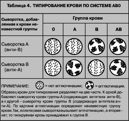 ТАБЛИЦА 4. Типирование крови по системе АВО