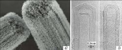 Углеродные нанотрубки, полученные химическим осаждением из газовой фазы (а), 