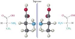 Аланин - хиральная аминокислота.