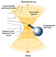 Для «захвата» коллоидной частицы оптический пинцет использует сильно фокусированный лазерный пучок. 